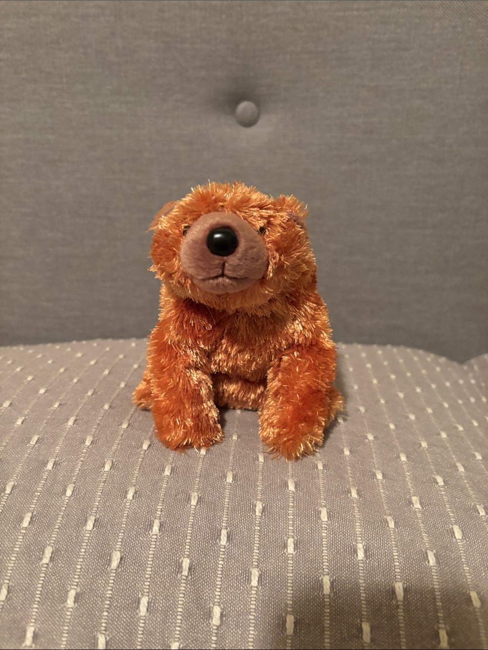 TY Beanie Baby - Sequoia the Brown Bear (6 inch) - MWMT's Stuffed Animal Toy